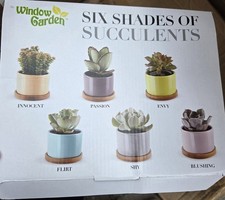 Brand New Window Garden 6X