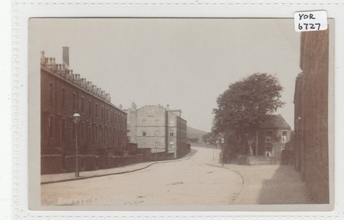 Bradford great horton - ,