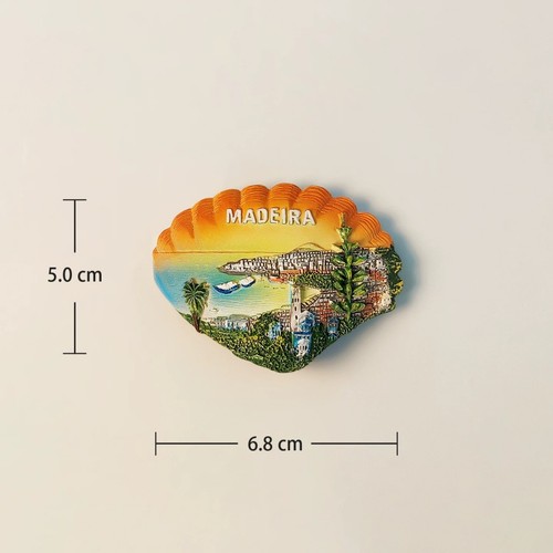 Madeira portugal seashell - seashell, 3d
