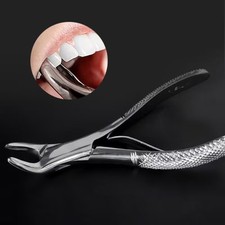 Dental Universal Children's