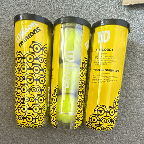 Wilson minions all - minions,