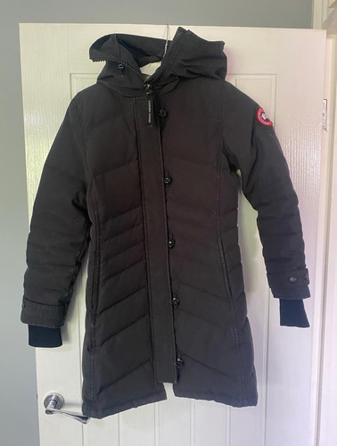 Canada goose arctic - goose, program