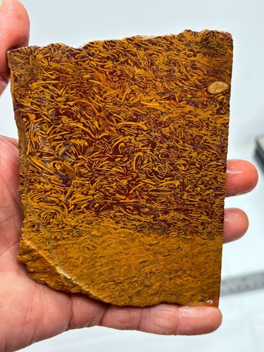 Script stone jasper slab - stone,