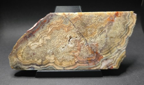 Crazy lace agate lapidary slab - crazy,