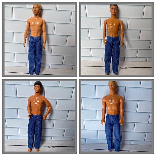 Ken paul boy doll blue - paul,