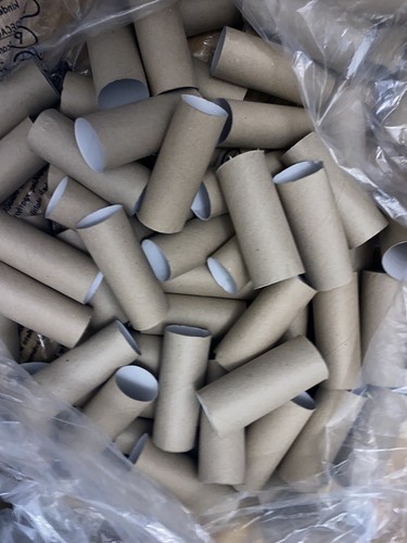 Empty toilet roll tubes - 25,