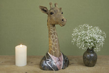 Stunning Large Giraffe Bust