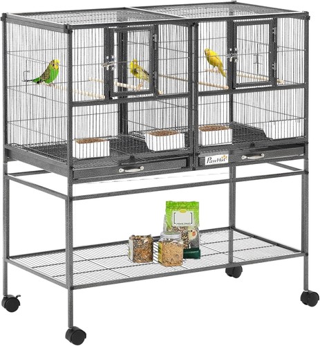 Bird cage parrot with - cage,