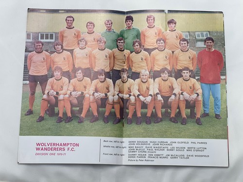 Wolverhampton wanderers - wolverhampton,