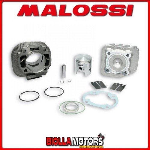 317083 cylinder kit - cylinder, malossi
