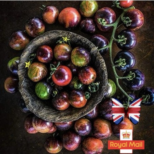 Tomato seeds black - tomato,