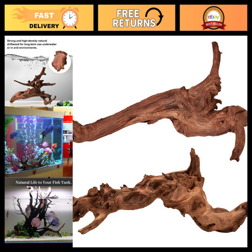 Natural large driftwood for - large,