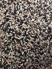 Goldfinch and Siskin Seed, Cage And Aviary, wild finch, siskins