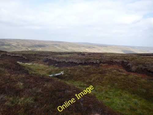 Photo 6x4 fenn trap - trap, near