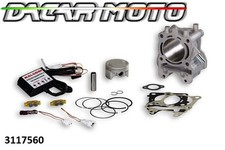 COMPLETE CYLINDER MALOSSI D.61