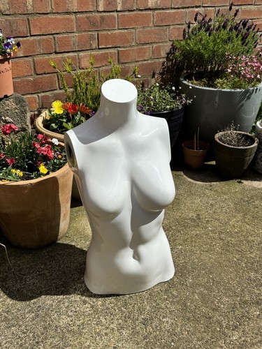Shop mannequin female - shop, torso