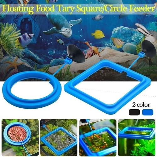 Feeding ring for fish - tank, 1