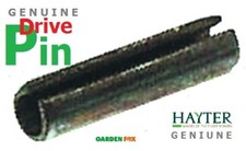 GENUINE Hayter Condor