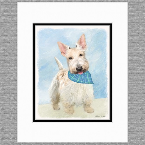 Scottish terrier wheaten - scottish,