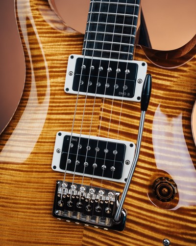 Prs custom birds of - of, a