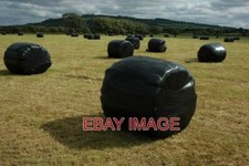 PHOTO  SILAGE BALES IN TWYNING