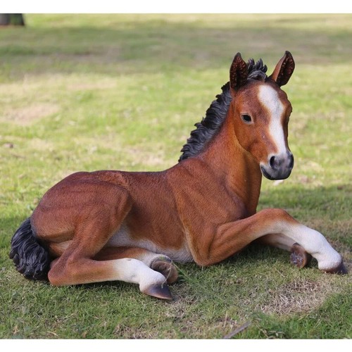 Lying down colt garden - down,
