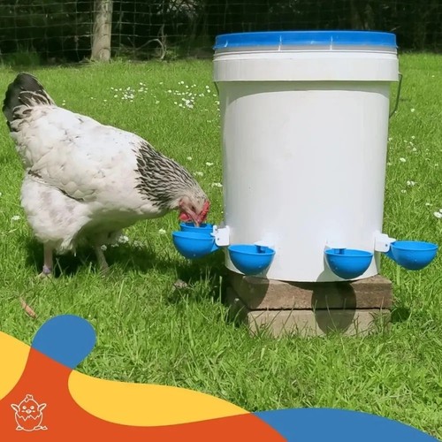 Pcs automatic poultry water - automatic,