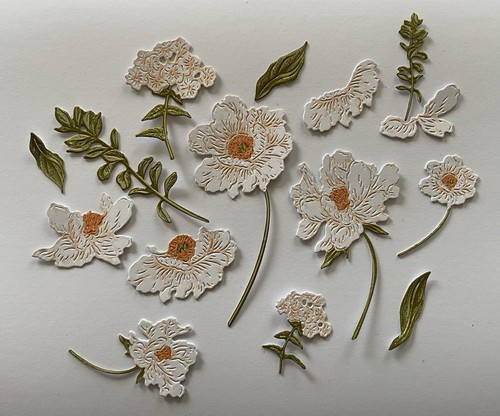 Sets tattered lace 3d - 2,