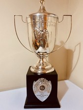 🏆 Big Silver Trophy | 21”