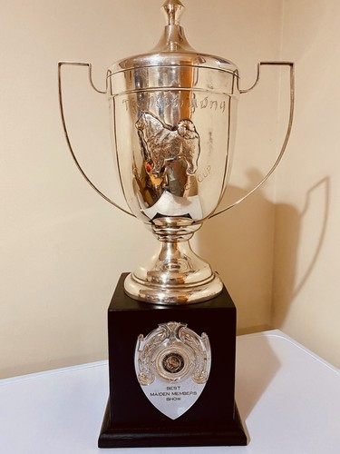 Big silver trophy 21 - big, 21”
