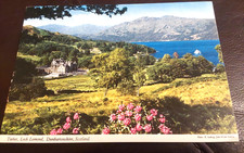  Tarbet,  Loch Lomond,  Dunbartonshire,  Scotland,  John Hinde Postcard 