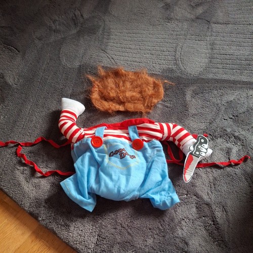 Chucky doll small - small, dog
