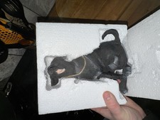 A Breed Apart Black Labrador