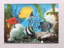 3D tropical fish in aquarium lenticular postcard by Axel Eliassons (Sweden)
