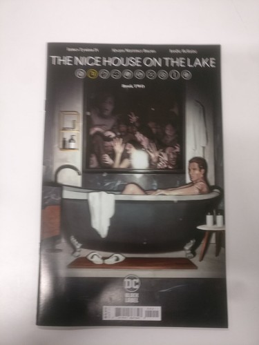 The nice house lake - house,