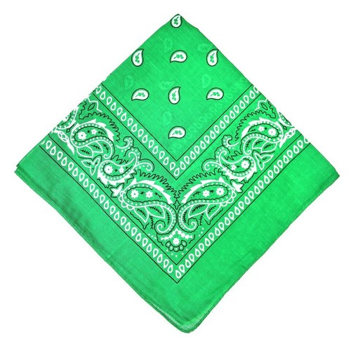 Bandana scarf paisley cowboy - paisley,