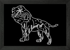 The Adventurous Lion Framed