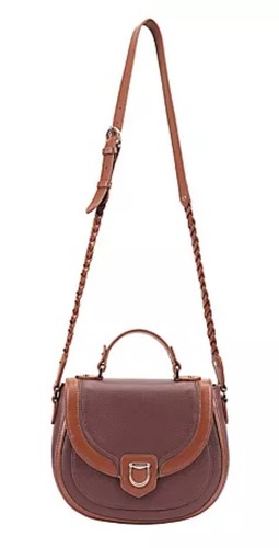 Paul costelloe dressage - paul,