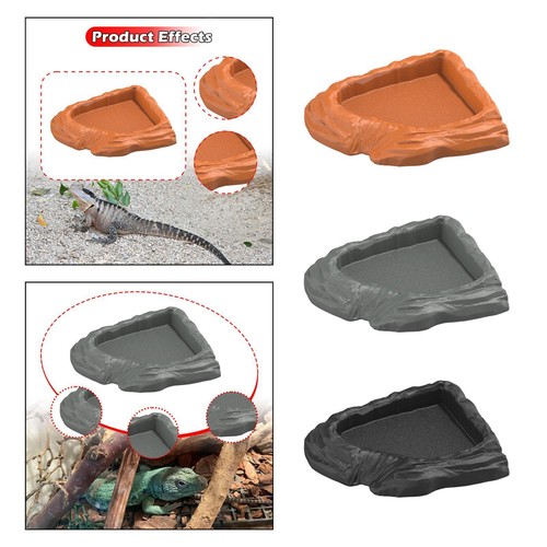 Reptile water dish - water,