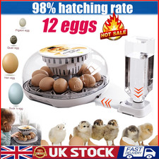 12-Chicken Egg Incubators for
