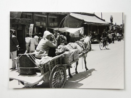 Street scene donkey - scene, cart