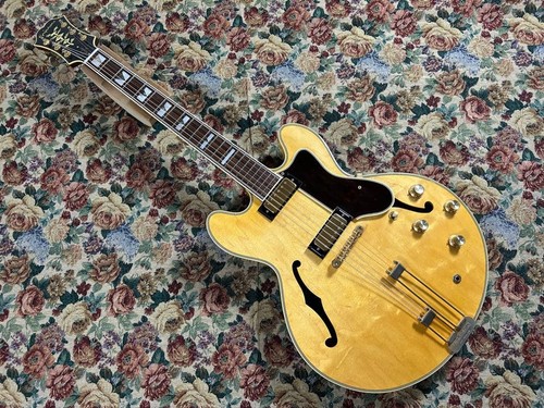 Epiphone usa john lee hooker - usa,