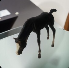 Brayer Molding Co Grazing