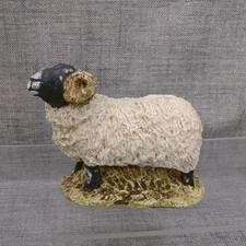 Vintage Stef Swaledale Sheep Ram Figure Figurine Farm Animal Ornament