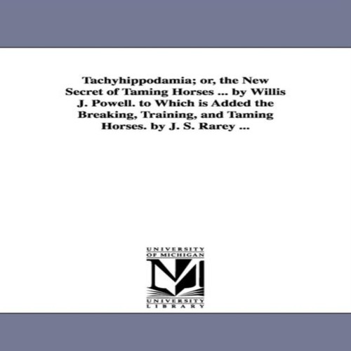 Tachyhippodamia the new - tachyhippodamia, or