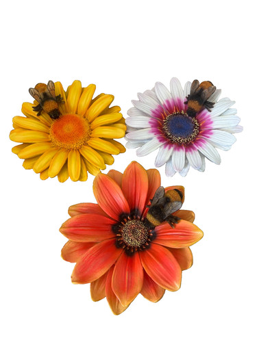 Garden hanging ornament daisy - garden,