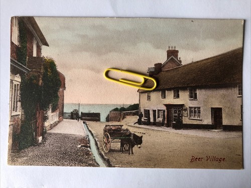 Beer village devon 1900 - beer, 1900’s