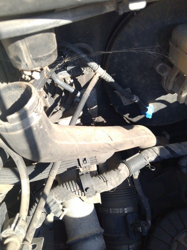 Tube fiat ducato - tube, maxi
