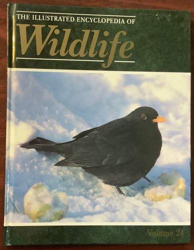 The illustrated encyclopedia - the,
