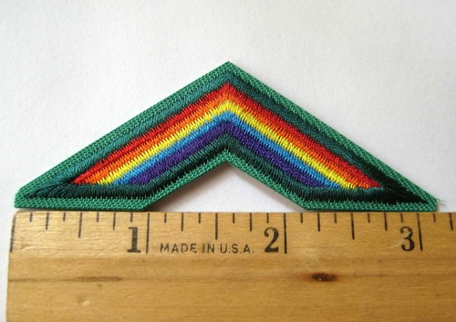 Retired girl scout - girl, cadette